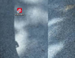 网易云音乐如何设置为默认播放器?网易云音乐设置为默认播放器的方法
