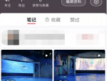 小红书怎么添加陌生人?小红书添加陌生人方法