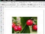 coreldraw位平面效果怎么做?coreldraw位平面效果制作方法